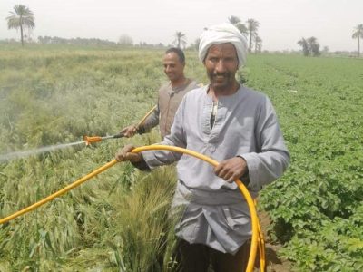 ازمة السيول تدخلات مع المزارعين لحماية الزراعة