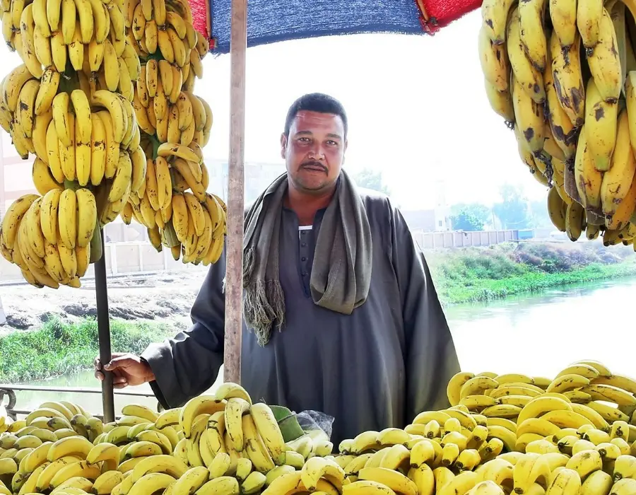 نماذج من مستفيدين من تمويل المشروعات متناهية الصغر - أمل (5)