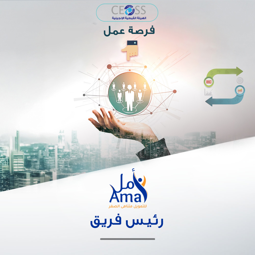 رئيس فريق التمويل المتناهي الصغر