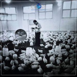 التمكين الاقتصادي 1961 (6)