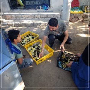 التمكين الاقتصادي 1961 (8)