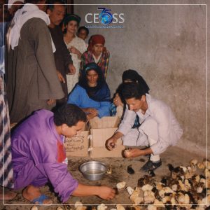 التمكين الاقتصادي 1961 (9)