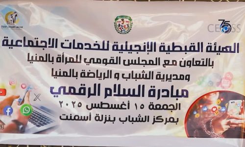 مبادرة السلام الرقمي