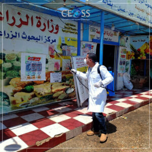 جائحة كرونا (12)