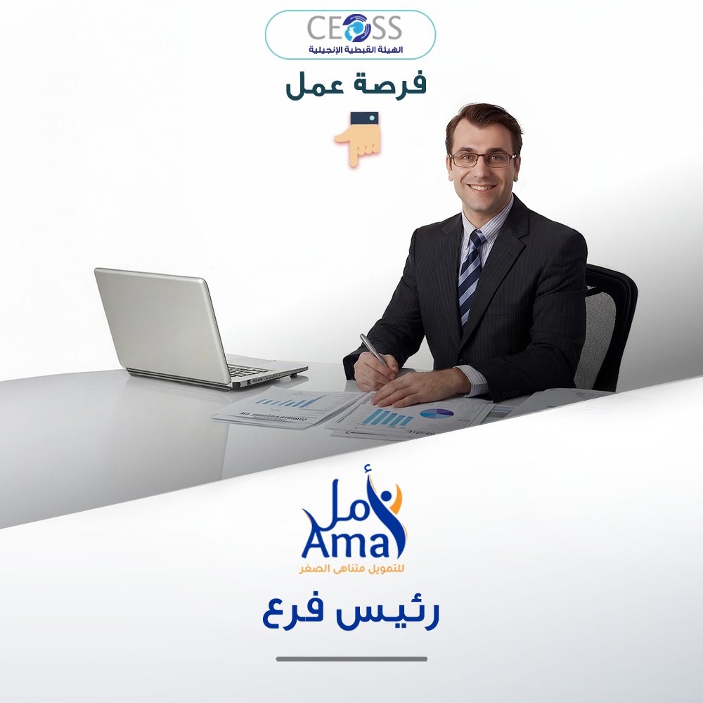 رئيس فرع التمويل المتناهي الصغر