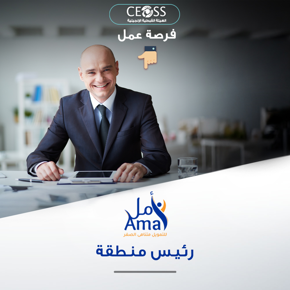 رئيس منطقة التمويل المتناهي الصغر