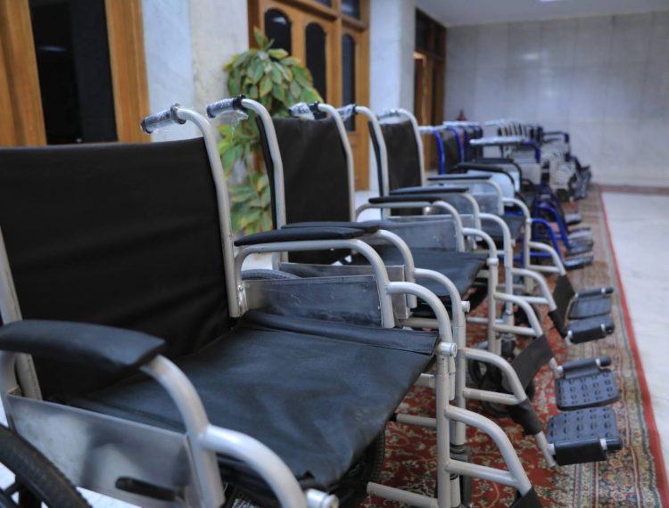 300كرسي محافظ اسيوط (8)