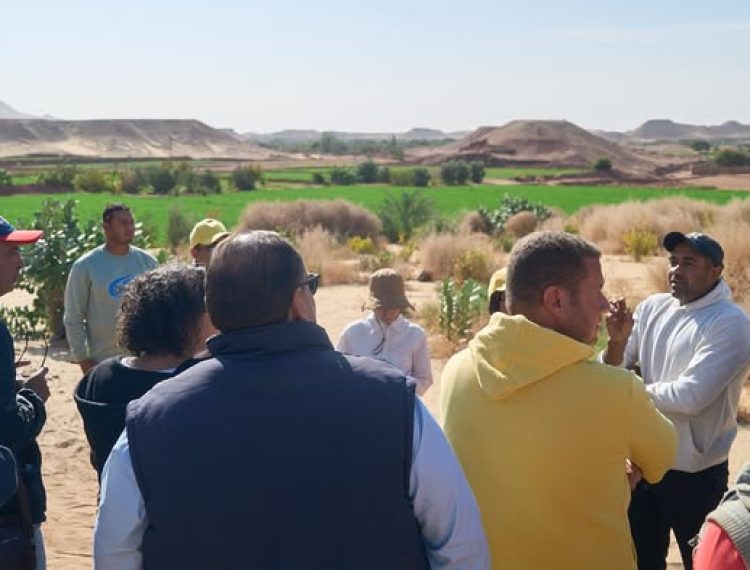 597391297_1259418019554925_492768240466092253_n