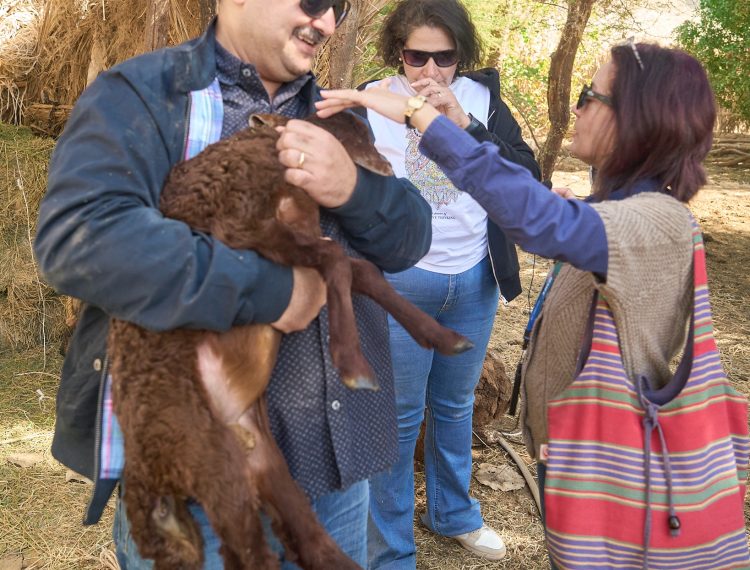 597406346_1259416309555096_6863817242321914400_n