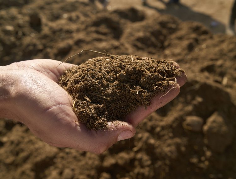 597432735_1259417809554946_7861322778218867714_n