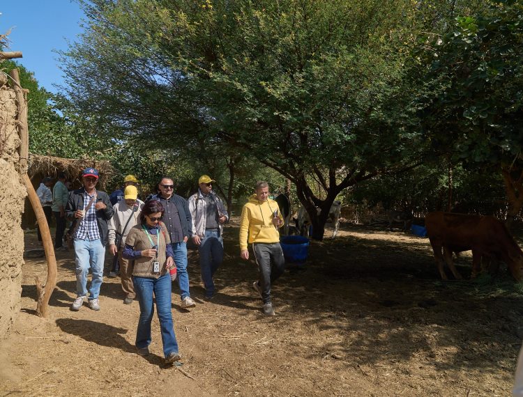 597490001_1259416282888432_2955936668203263301_n