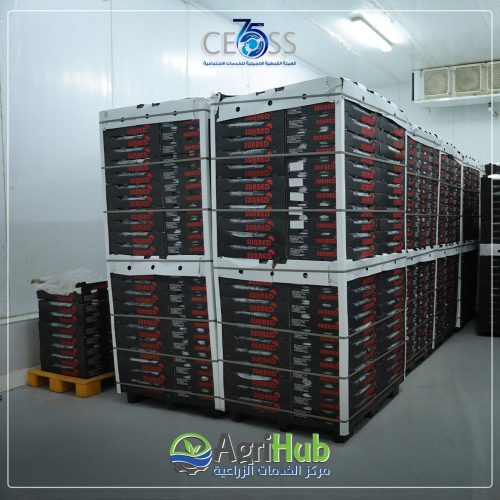 agrihub (4)