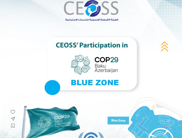 cop 29 (8)