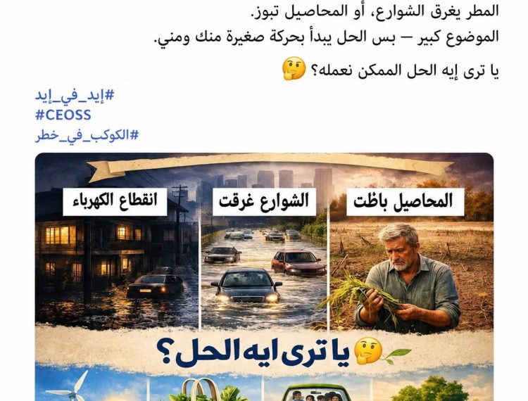 «إيد في إيد تخضر وتزيد».. شباب المنيا في مواجهة التغير المناخي وتعزيز الوعي البيئي (1)