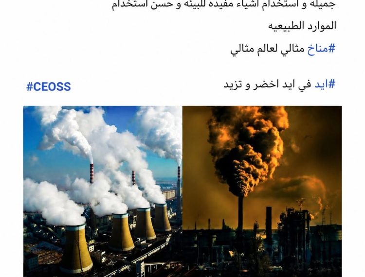 «إيد في إيد تخضر وتزيد».. شباب المنيا في مواجهة التغير المناخي وتعزيز الوعي البيئي (3)