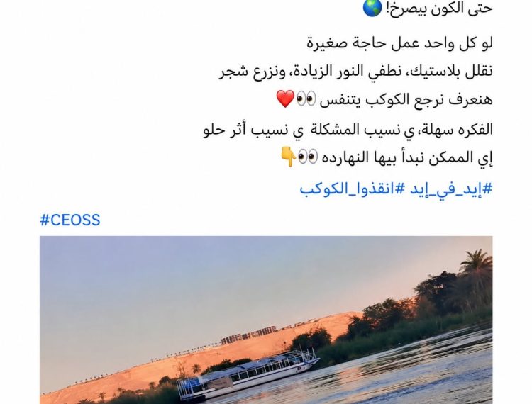 «إيد في إيد تخضر وتزيد».. شباب المنيا في مواجهة التغير المناخي وتعزيز الوعي البيئي (5)