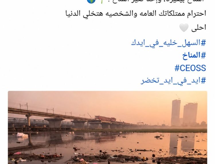 «إيد في إيد تخضر وتزيد».. شباب المنيا في مواجهة التغير المناخي وتعزيز الوعي البيئي (7)