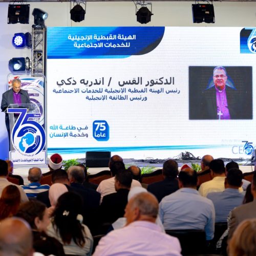 احتفالية المنيا (18)