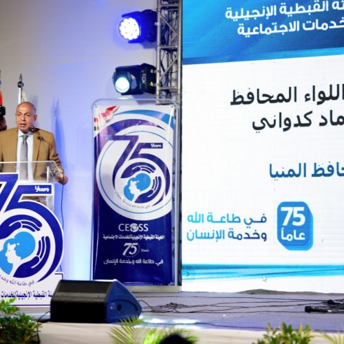 احتفالية المنيا (20)