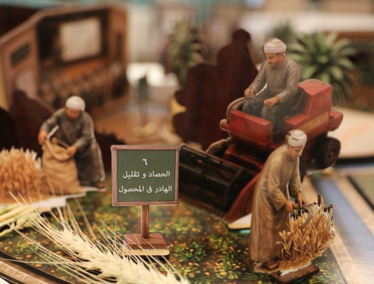 ازرع في سي بوت (23)