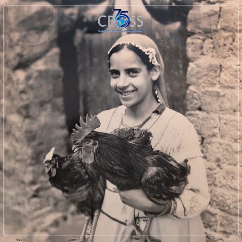 التمكين الاقتصادي 1961 (2)