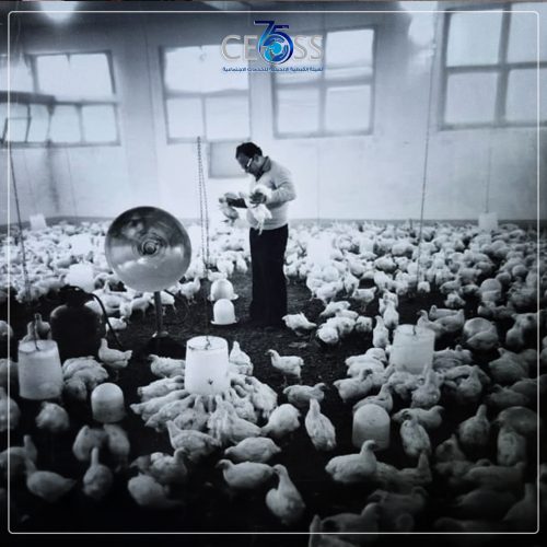 التمكين الاقتصادي 1961 (6)