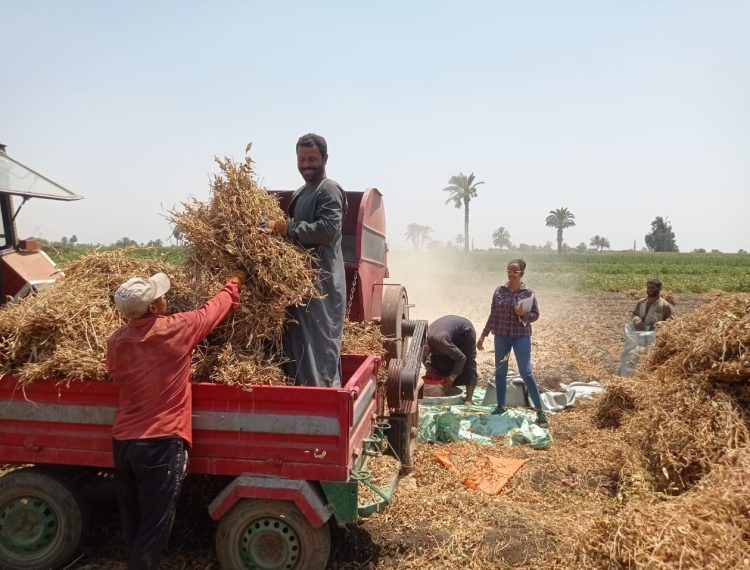 الهيئة تدعم المزارعين بالمنيا وبني سويف لزيادة الإنتاجية (1)