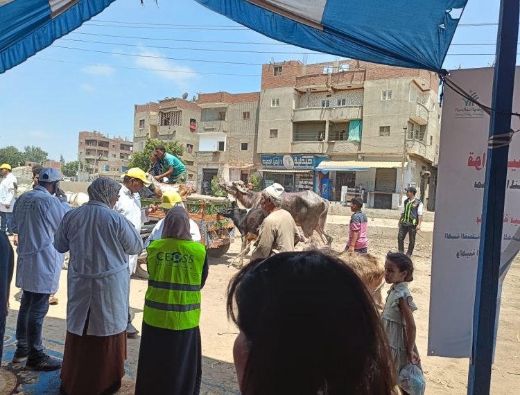 ايد واحدة (11)