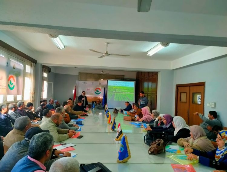 ورشة عمل تدريبية لأخصائيين القمح والمرشدين الزراعيين بالتعاون مع محافظة البحيرة (1)