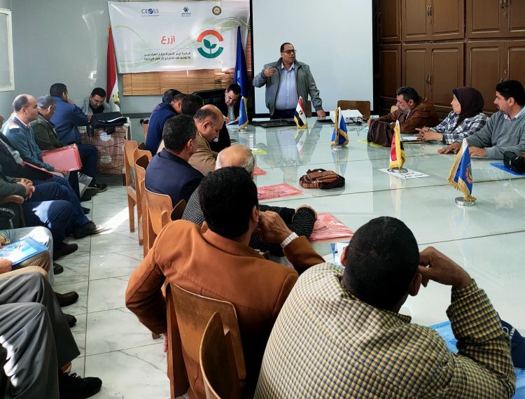 ورشة عمل تدريبية لأخصائيين القمح والمرشدين الزراعيين بالتعاون مع محافظة البحيرة (3)